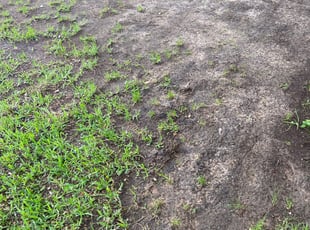 Cleanups by Johnny Shaw for Pamela R. in Arlington, TX
