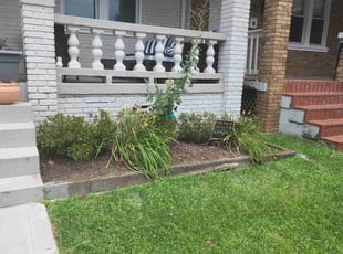 Weeding by Derrick Graves for Laura F. in Washington, DC