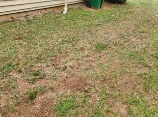 Leaf Removal by Toni Feaster for Louvenia H. in Stone Mountain, GA