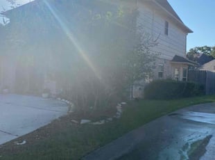 Bush Trimming by Jesus Hernandez for Libbi R. in Houston, TX