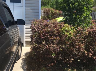 Bush Trimming by William Cuthbert for Alexa R. in Leland, NC