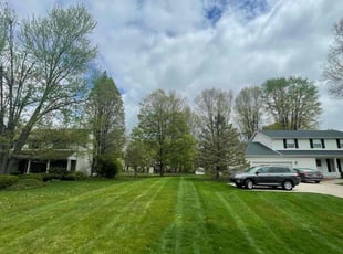 Lucia G.'s Lawn Care service result