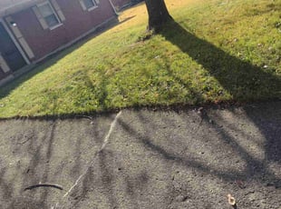 Leaf Removal by Stephen Ricketts for Chris M. in Cincinnati, OH
