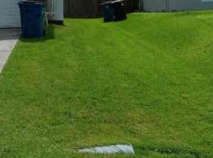 YOUN SUN J.'s Lawn Care service result