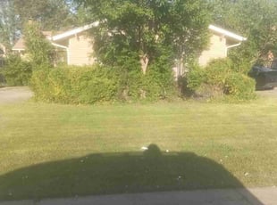Bush Trimming by John Doyle for Chris C. in Oklahoma City, OK