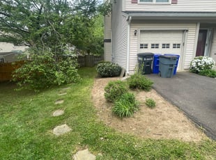 Cleanups by Jose M Rodriguez for Marsha W. in Alexandria, VA