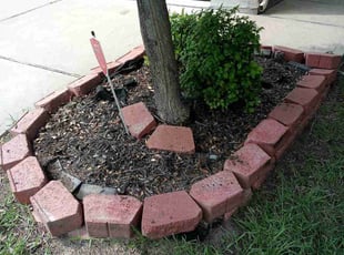 Weeding by Donovan Perry for Charles D. in Houston, TX
