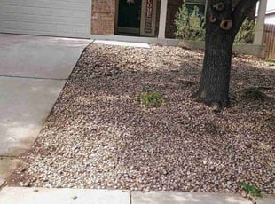 Leaf Removal by Adrian Bruhn for Dyse T. in Cedar Park, TX
