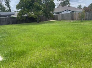 Melinda H.'s Lawn Care service result