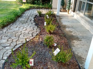 Weeding by Bryan Kyzar for Melana B. in Baton Rouge, LA