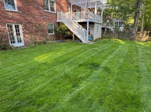 Rose S.'s Lawn Service service result
