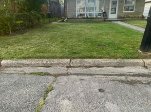Brian C.'s Lawn Mowing service result