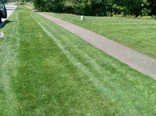 James W.'s Lawn Service service result