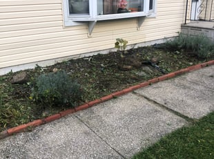 Weeding by Charles Hubbard for Tabbatha G. in Berea, OH