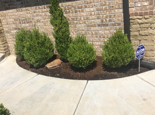 Weeding by Jeff Rodgers for Paula V. in Oklahoma City, OK