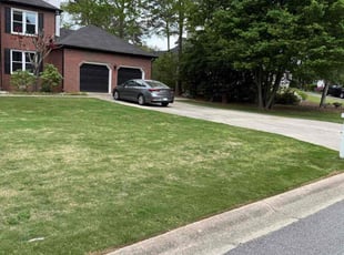Quincy H.'s Grass Cutting service result