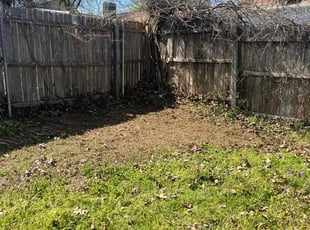 Leaf Removal by Austin Short for Alex W. in Norman, OK