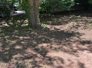 Cleanups by Joshua Coonradt for George S. in Raleigh, NC