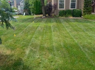 Derek S.'s Lawn Mowing service result