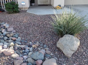 Cleanups by William Townsend for Crystal Z. in Tolleson, AZ