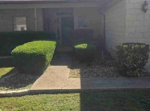 Bush Trimming by Victor Cortes for Jeanne R. in Georgetown, TX