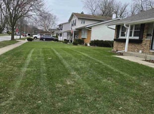 Steve B.'s Lawn Mowing service result