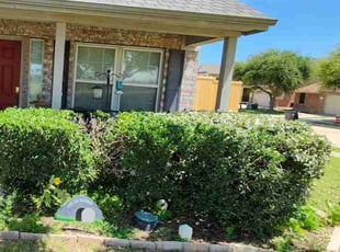 Isaiah R.'s Bush Trimming service result