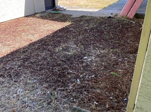 Weeding by Anthony Shaw for Dana H. in Citrus Heights, CA