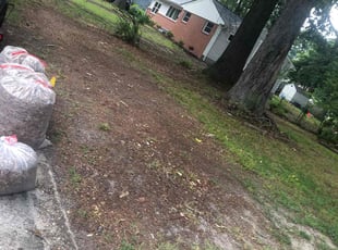 Leaf Removal by John Morrisroe for Michelle J. in Virginia Beach, VA