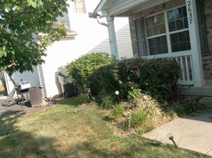 Bush Trimming by Robert Pittman for Megan w. in Columbus, OH