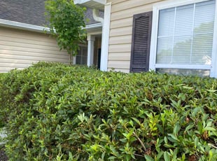 Bush Trimming by Vernon Smalls for Samir E. in Ladson, SC