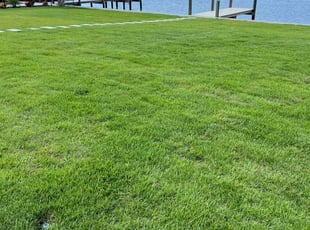 Stephen K.'s Lawn Care service result