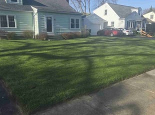 Cynthia J.'s Lawn Service service result