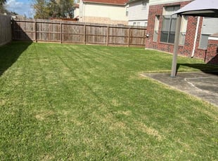 Vanessa V.'s Lawn Maintenance service result
