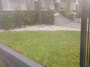 Carol C.'s Lawn Service service result