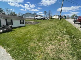 Cathleen V.'s Lawn Mowing service result