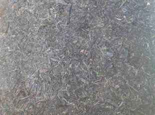 Miguel L.'s Flower Bed Weeding service result