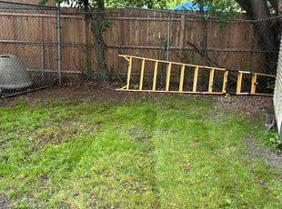 Leaf Removal by James Mozelle for barbara g. in Hampton, VA