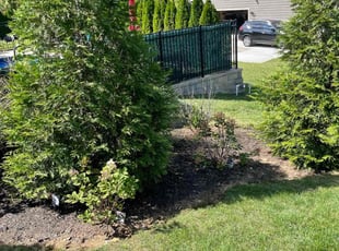 Weeding by Lora Thoren for Marshall H. in Franklin, TN