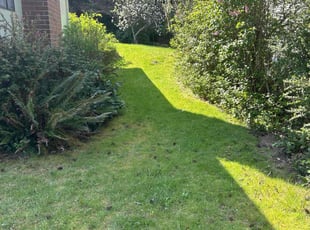 Gary W.'s Lawn Care service result