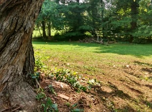 Cleanups by Bernard Frampton for Matthew K. in Baldwin, MD