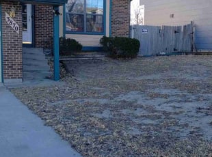 Bush Trimming by Mark Ullrich for Raymond Y. in Colorado Springs, CO