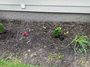 Nicole H.'s Landscaping service result