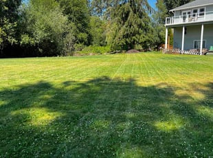 Dawne D.'s Lawn Care service result