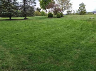 Gail S.'s Lawn Care service result