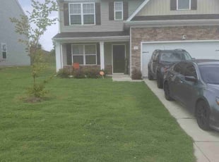 Mike F.'s Lawn Mowing service result