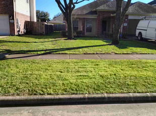 Chris M.'s Grass Cutting service result