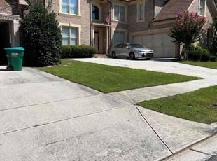 Nathalie P.'s Lawn Care service result