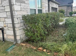 Bush Trimming by Edwin Fernandez for Lex L. in Katy, TX