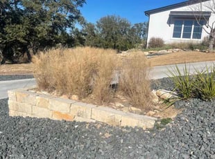 Bush Trimming by Miguel Ybarra for Hannah S. in Canyon Lake, TX